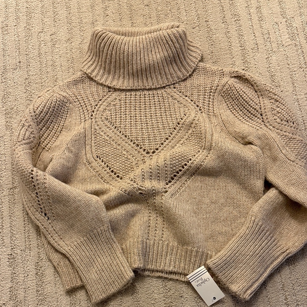 Chunky Knit Turtleneck Sweater in Beige